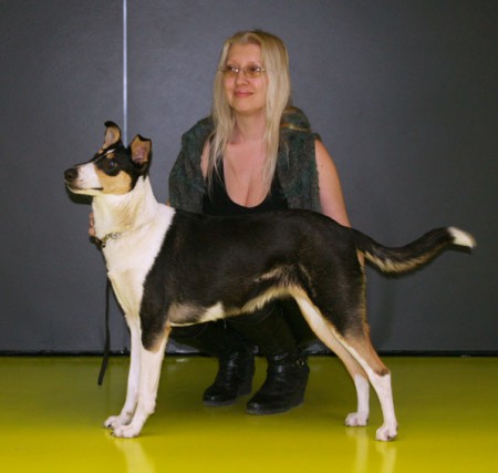 CACIB Gratz, AT