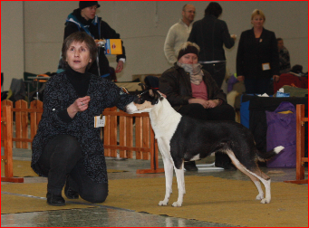 MVP Nitra