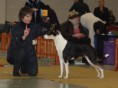 /album/fotogalerie-mvp-nitra/img-2522-jpg1/