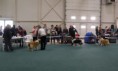 /album/fotogaleria-nvp-bratislava-18-02-2018/p2186886m-jpg/